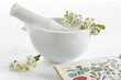 Aubépine  en fleur - Vertus médicinales