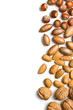 Foto: various unpeeled nuts various unpeeled nuts