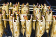 Smoked herring or fish