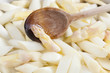 cooking fresh healthy spring / summer lean-cuisine