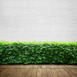 terrace background