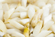cooking fresh healthy spring / summer lean-cuisine