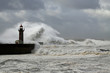 Stormy coast