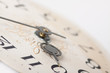 Clock Face, Hands Of The Clock... Clock Face, Hands Of The Clock...
