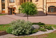 Декоративная клумба