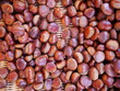 chestnuts