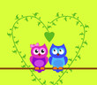 zwei eulen in love