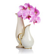 Old Vases and Orchid