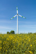 Wind Turbine, Deutschland