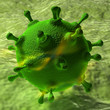virus.