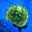 Realistic rendering of virus