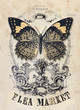 Flea market vintage background