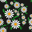 Vector: Flower seamless Pattern with Chamomiles Flower seamless Pattern with Chamomiles