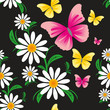 Vector: Seamless pattern with Chamomiles and Butterflies Seamless pattern with Chamomiles and Butterflies