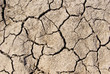 "The texture cracked ,dry the surface of the earth"
