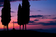 Photo: Tuscany at dawn Tuscany at dawn
