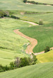 Foto: Fields of Tuscany Fields of Tuscany