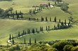Photo: Cypresses and roads of Tuscany Cypresses and roads of Tuscany