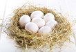 Photo: white eggs white eggs