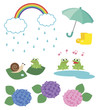 Rain