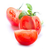 Fresh Tomatoes isolated on a White Background