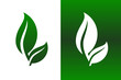 Leaf Pair Icon Vector Illustration