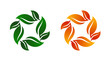 Leaf Bunch Icon Vector Illustration on Both Spring and Fall