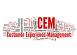 Customer-Experience-Management (CEM)