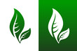 Leaf Pair Icon Vector Illustration