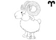Widder, Aries, Bélier, Sternzeichen, Tierkreiszeichen
