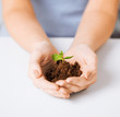 hands with green sprout and ground