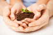 hands with green sprout and ground