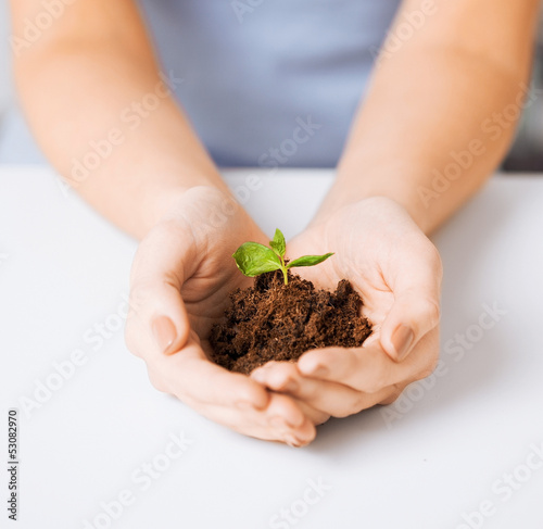 Photo: hands with green sprout and ground hands with green sprout and ground