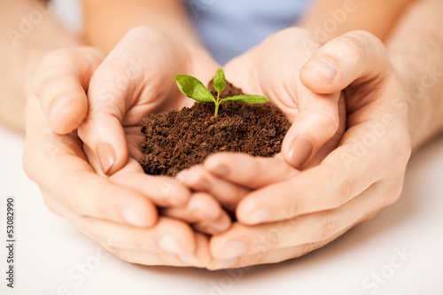 Photo: hands with green sprout and ground hands with green sprout and ground
