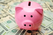 Pink Pig Bank on American Paper Money