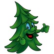 Coniferous Tree