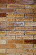 Texture legno
