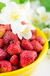 Wild strawberry in a plate with jasmine