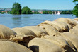 Hochwasserschutz
