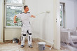 professional painter at work