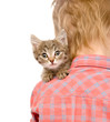 Photo: kitten peeping over the shoulder of a child. isolated on white kitten peeping over the shoulder of a child. isolated on white