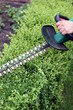 Photo: Elektrische Heckenscheere in Aktion Elektrische Heckenscheere in Aktion