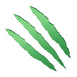 green claws scratches