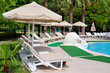 outdoor swimming pool and beautiful palm trees