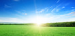 sunrise over a green field