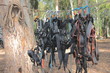 Climbing harnesses and rope - ready for fun!