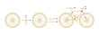 bicycle equation