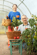 Photo: Woman and man in tomato plant Woman and man in tomato plant