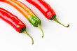 Chilli