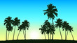 group of coconut trees on sunrise background